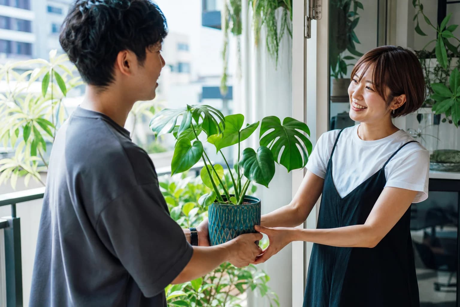 観葉植物を人から人へ手渡す様子
